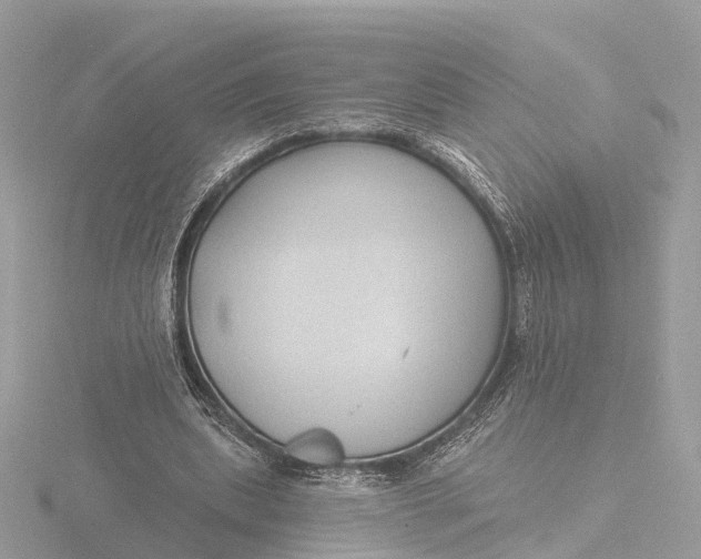 X0000116430439200912221508