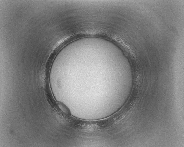 X0000116430440200912221508