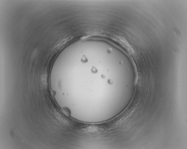 X0000116430441200912221508