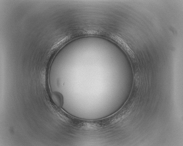 X0000116430442200912221508