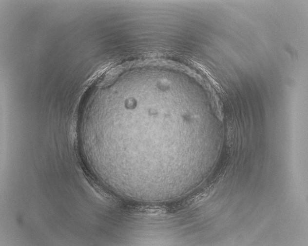 X0000116430443200912221508