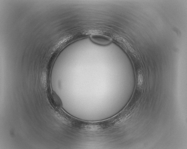 X0000116430444200912221508