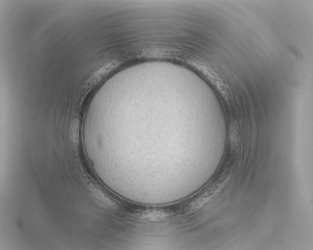 X0000116430445200912221508