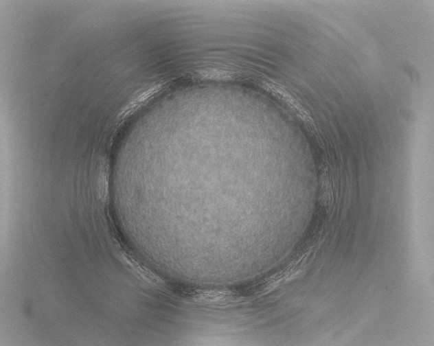 X0000116430446200912221508