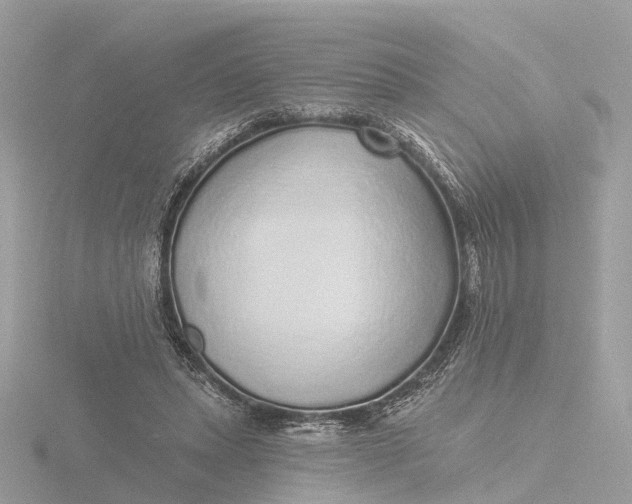 X0000116430447200912221508