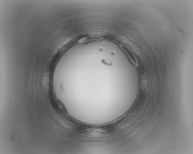 X0000116430448200912221508