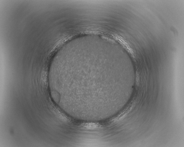 X0000116430449200912221508