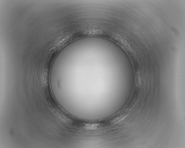 X0000116430450200912221508