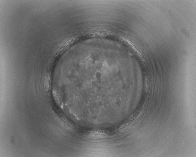 X0000116430451200912221508