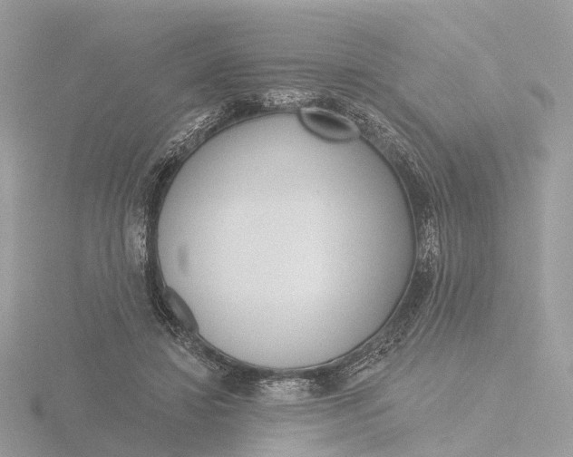 X0000116430452200912221508