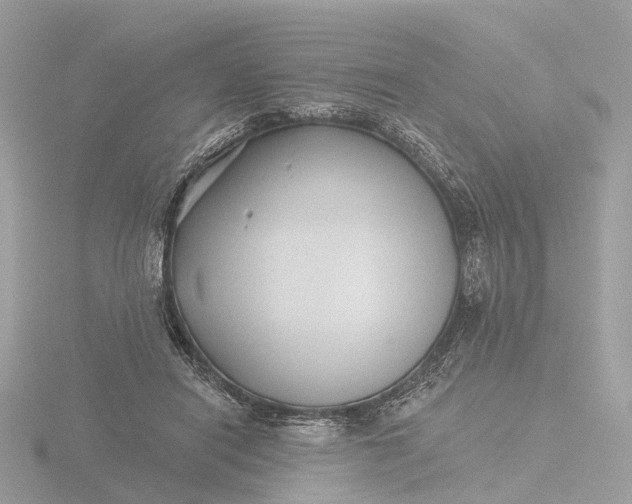 X0000116430454200912221508