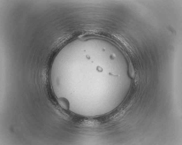 X0000116430455200912221508