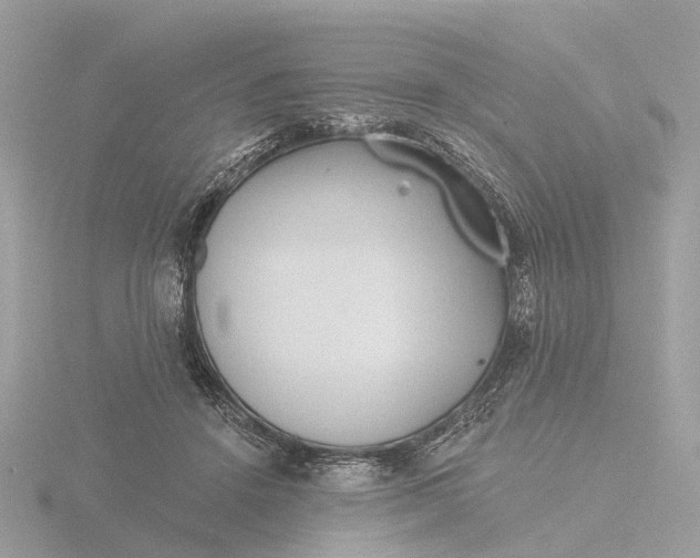 X0000116430456200912221508