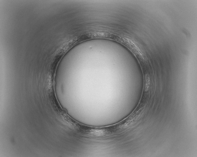 X0000116430457200912221508