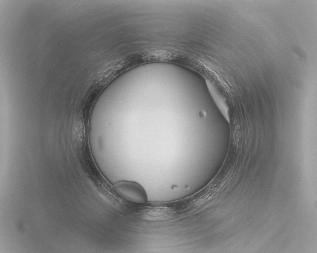 X0000116430459200912221508