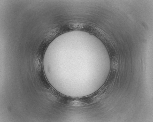 X0000116430460200912221508