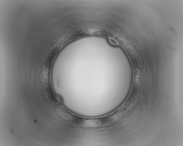 X0000116430461200912221508