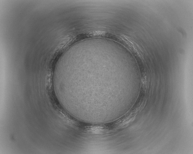 X0000116430462200912221508