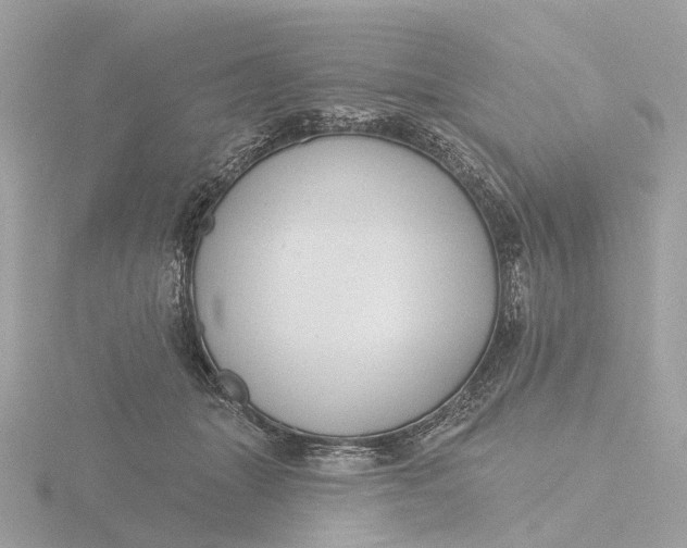 X0000116430463200912221508