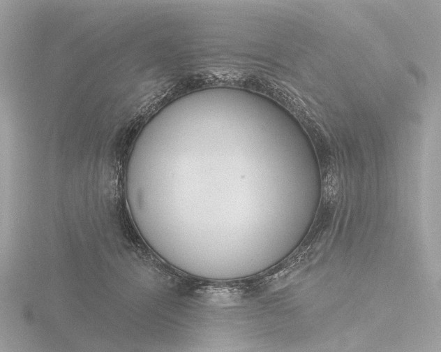 X0000116430464200912221508