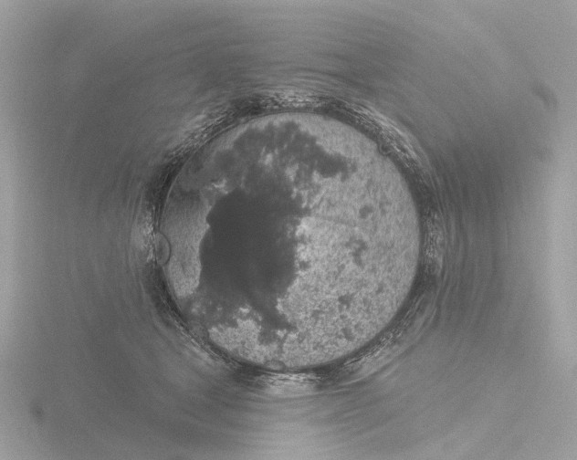 X0000116430465200912221508