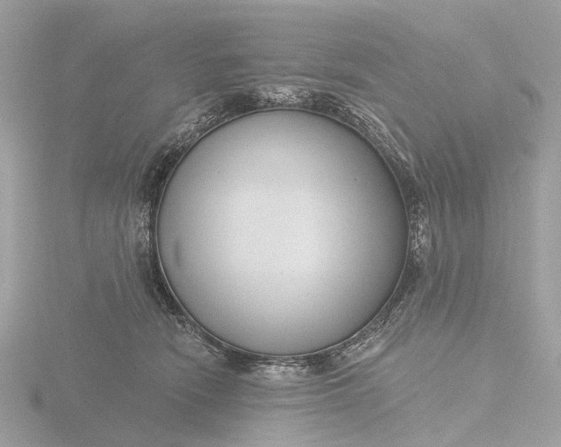 X0000116430466200912221508