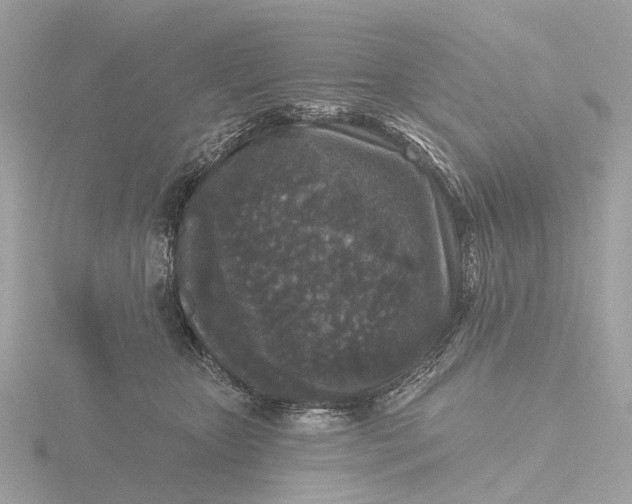 X0000116430467200912221508