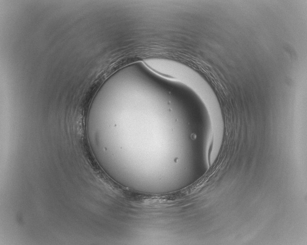 X0000116430470200912221508