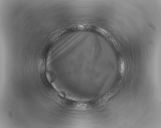 X0000116430471200912221508