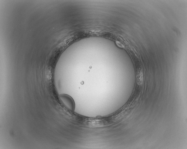 X0000116430472200912221508