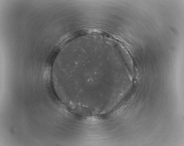 X0000116430475200912221508