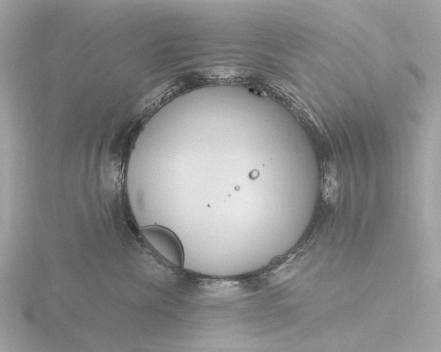 X0000116430476200912221508