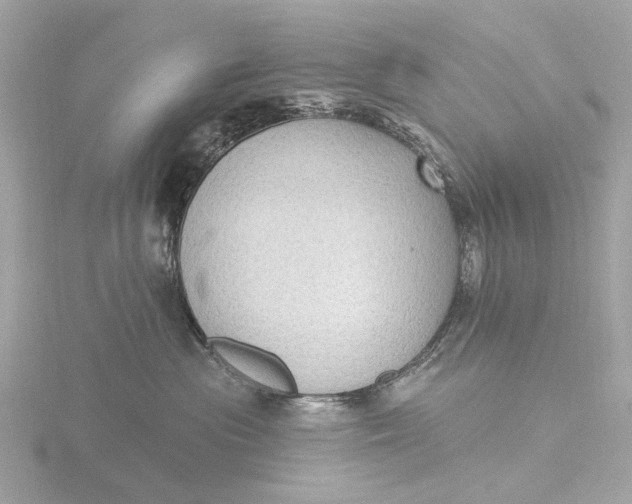 X0000116430477200912221508