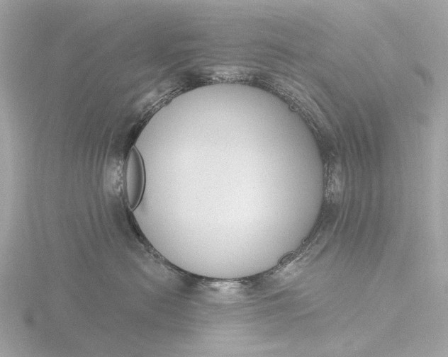 X0000116430478200912221508