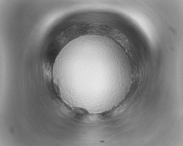 X0000116430479200912221508