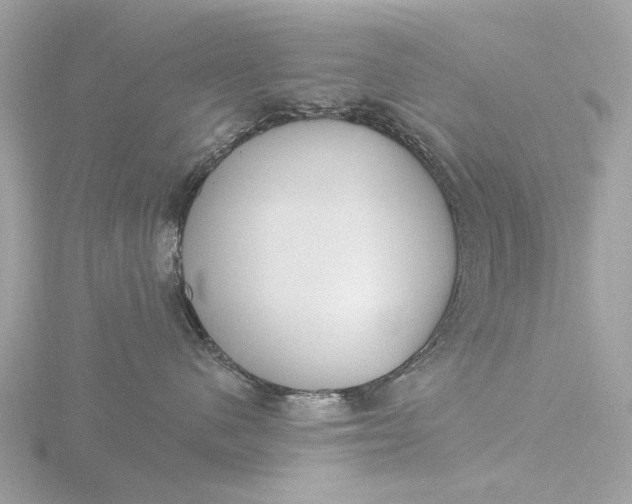 X0000116430480200912221508