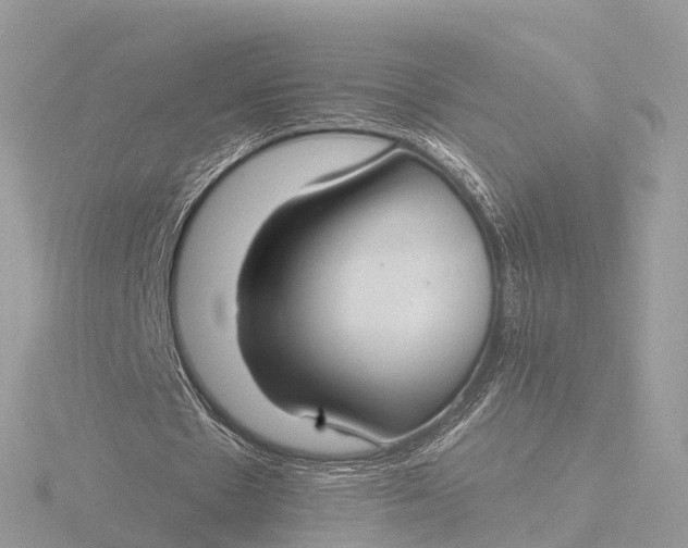 X0000116430481200912221508