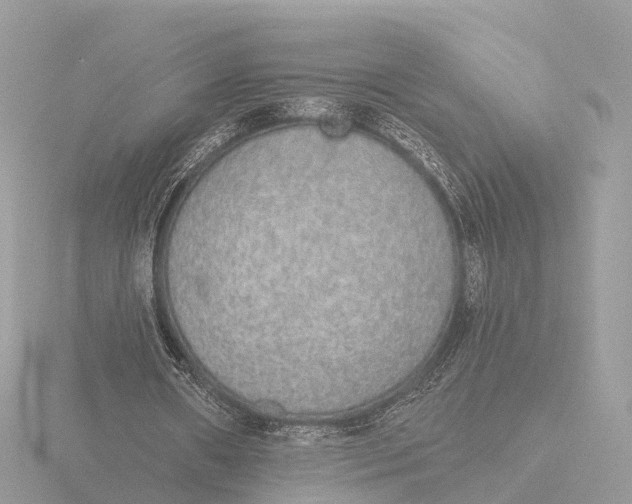 X0000116430482200912221508