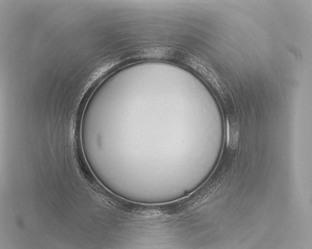 X0000116430483200912221508