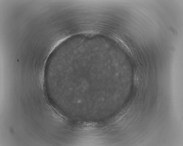 X0000116430484200912221508