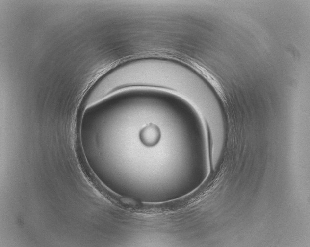 X0000116430485200912221508