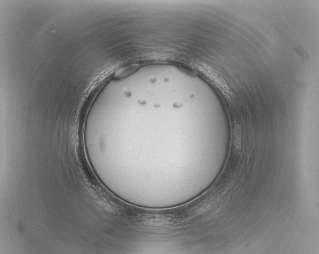 X0000116430486200912221508