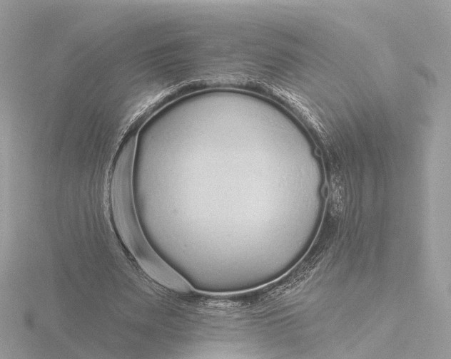 X0000116430487200912221508