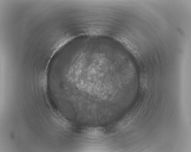 X0000116430488200912221508