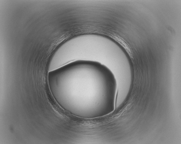 X0000116430489200912221508