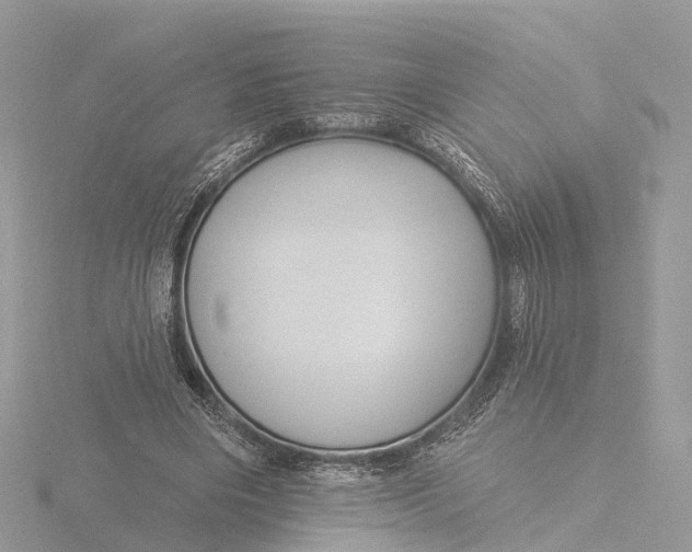 X0000116430490200912221508