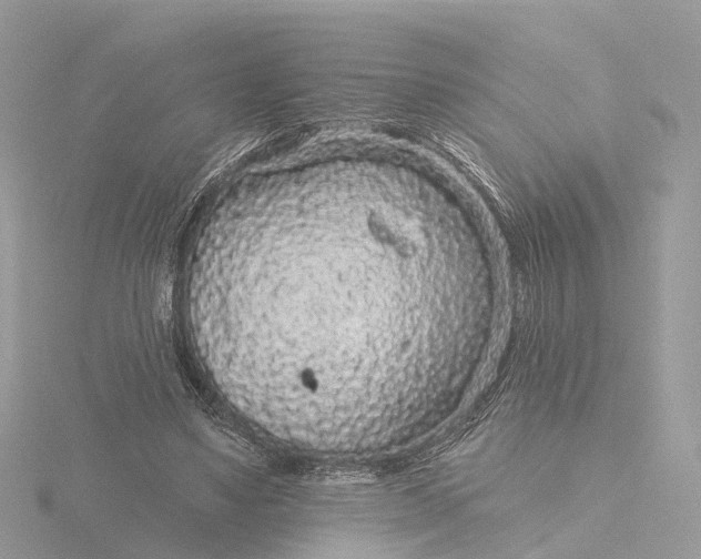 X0000116430491200912221508