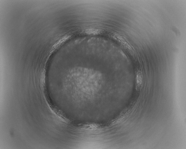 X0000116430492200912221508