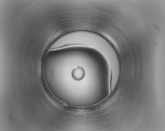 X0000116430493200912221508