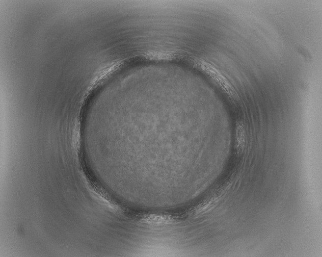 X0000116430494200912221508